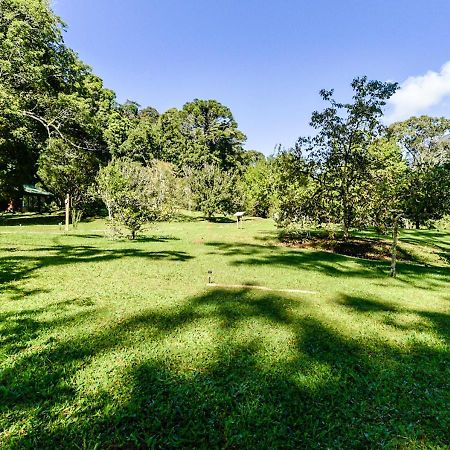 Refugio Ecologico Amadamata Hotel Nova Friburgo Bagian luar foto
