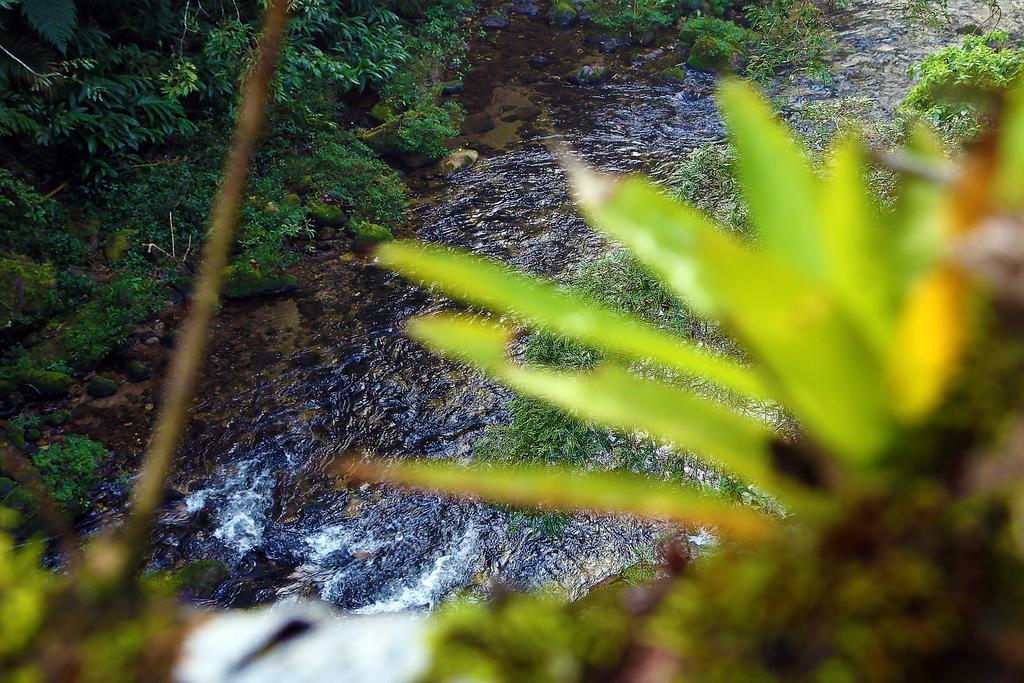 Refugio Ecologico Amadamata Hotel Nova Friburgo Bagian luar foto
