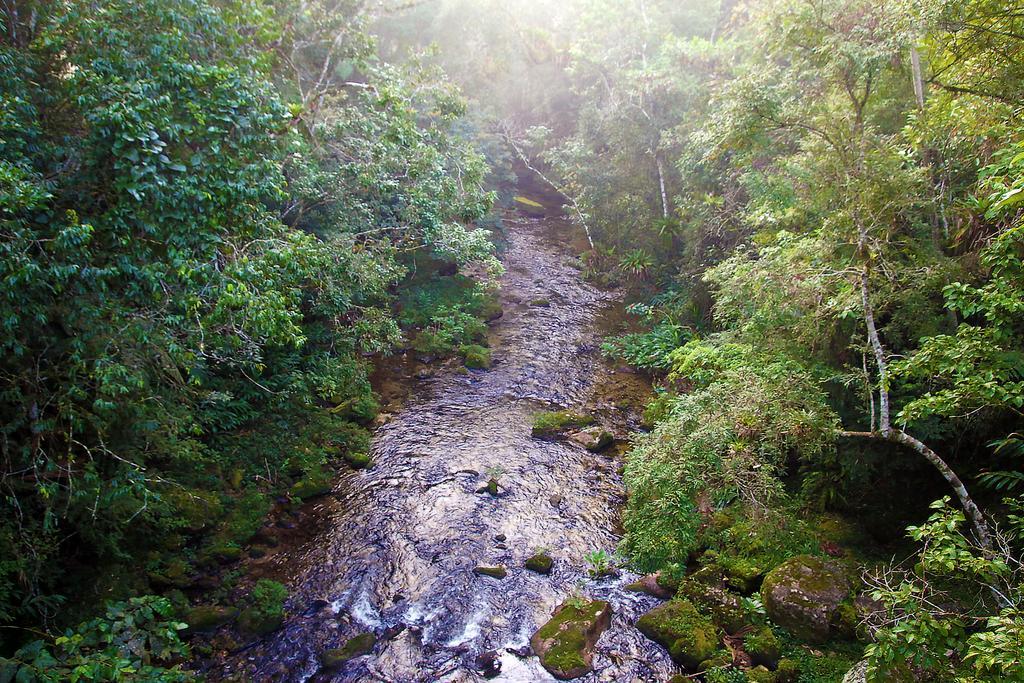 Refugio Ecologico Amadamata Hotel Nova Friburgo Bagian luar foto