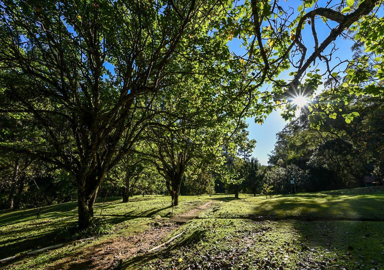 Refugio Ecologico Amadamata Hotel Nova Friburgo Bagian luar foto