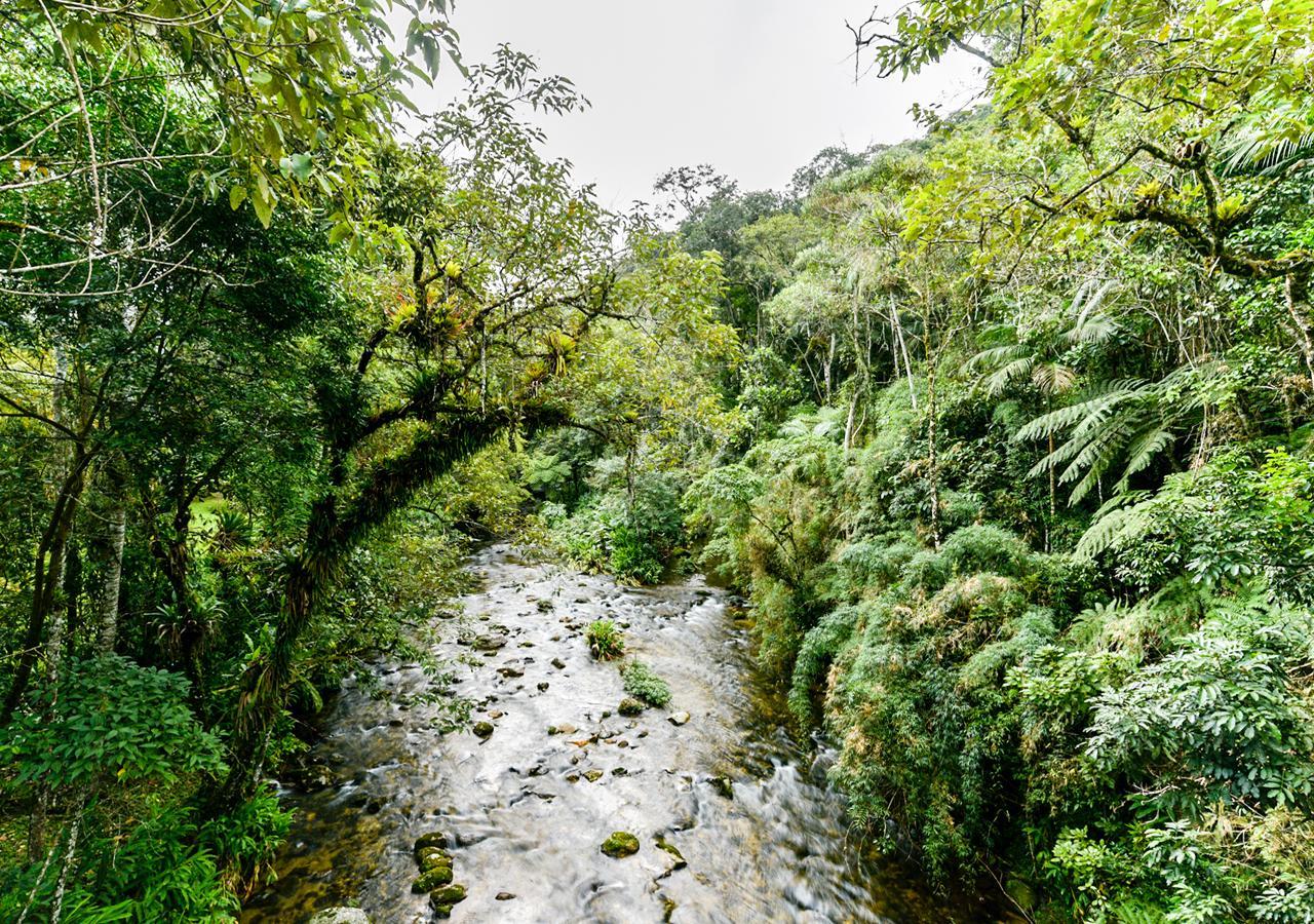 Refugio Ecologico Amadamata Hotel Nova Friburgo Bagian luar foto