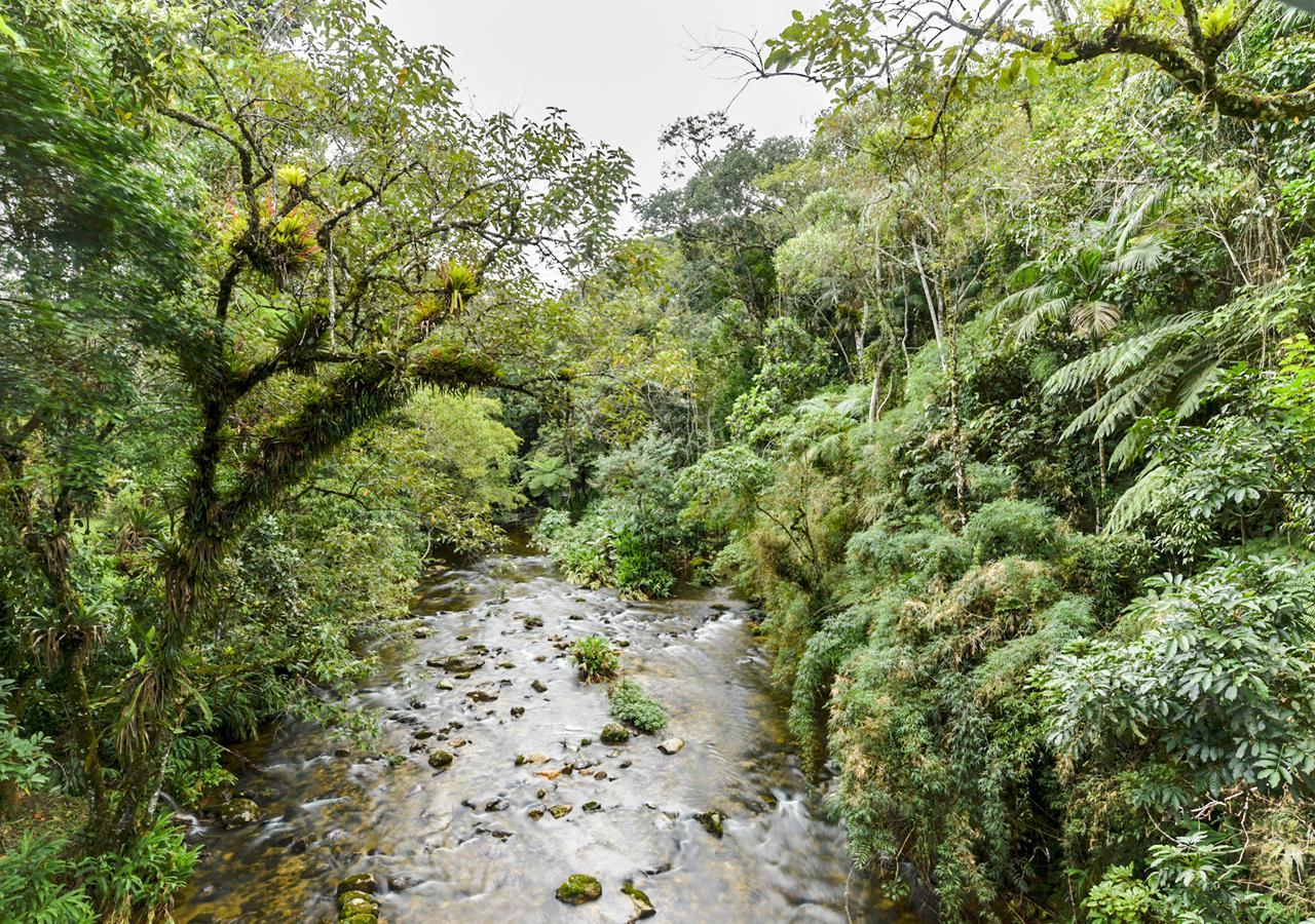 Refugio Ecologico Amadamata Hotel Nova Friburgo Bagian luar foto